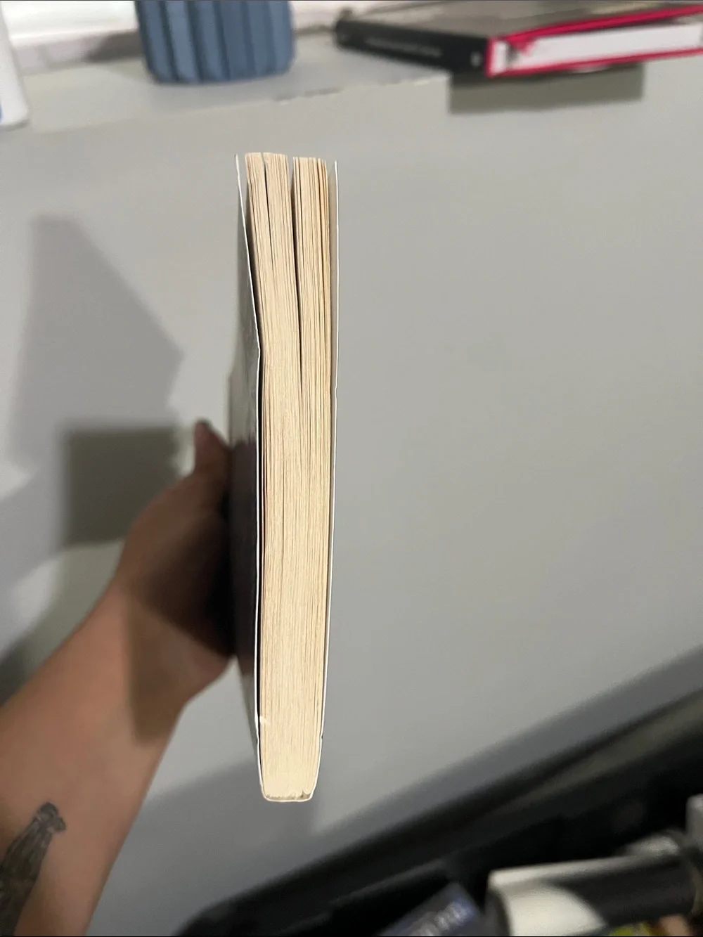 Diary of an Oxygen Thief book